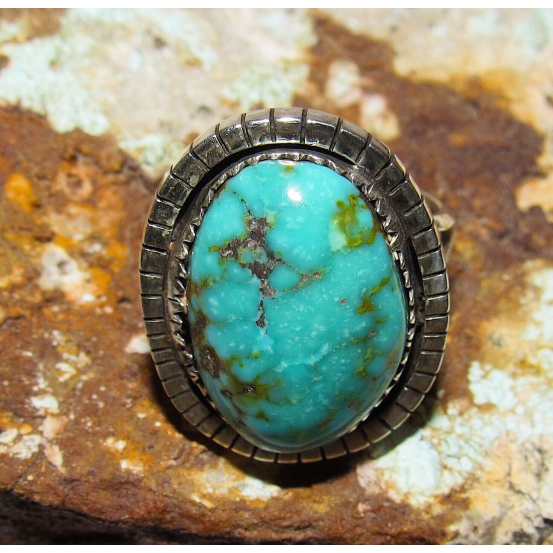 Navajo Sonoran Gold Turquoise Ring Sz 9 Sterling Silver -