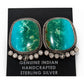 Navajo Gem Grade Royston Turquoise Post Earrings P. Yazzie