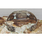 Fred Harvey Era Bracelet Navajo Sterling Turquoise Thunderbird Snake Cuff Old Pawn