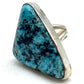Navajo Ithaca Peak Turquoise Ring Adjustable Size Sterling Silver Adam Fierro