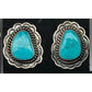 Navajo Kingman Turquoise Post Earrings P. Skeets Sterling