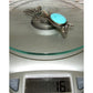 Navajo Royston Turquoise Squash Blossom Necklace Sterling