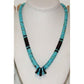 Santo Domingo Kingman Black Onyx Heishi Necklace Lupe