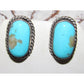 Navajo Blue Ridge Turquoise Post Earrings Sterling Silver 
