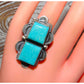Navajo Double Turquoise Adjustable Ring Sterling Silver 