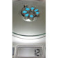 Navajo Kingman Turquoise Naja Pendant Sterling Silver Signed