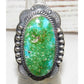 Navajo Sonoran Gold Turquoise Ring Sz 7.5 Sterling Silver 