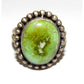Navajo Sonoran Gold Turquoise Ring Sz 9 Sterling Silver 