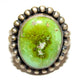 Navajo Sonoran Gold Turquoise Ring Sz 9 Sterling Silver 