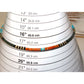 Santo Domingo Rolled Pen Shell Orange Spiny & Turquoise