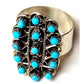 Zuni Snake Eye Turquoise Ring Size 7 Sterling Silver Native 