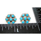 Zuni Turquoise Small Cluster Post Earrings Snake Eye Design 